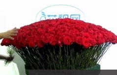 [花店花艺教程]大型花束插花方法技巧实操课程(6讲 含效果图)