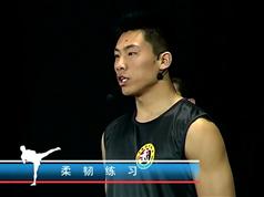 自由搏击散打技法视频教程(中文