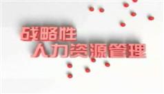 战略性人力资源管理-冉斌人力资源管理讲座下载