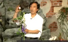 [花艺入门]零基础学习现代花艺插花视频培训教程(清晰版)