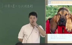 最新版小学大语文全集第15阶段视