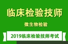 临床检验技师考证之微生物检验学学习培训讲座全集(含练习题和资料)