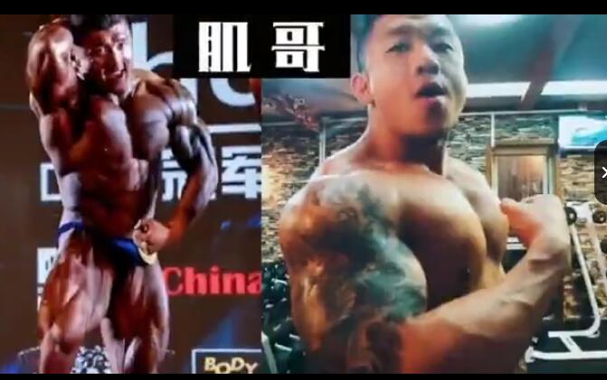 《健身精华-背》：背部肌肉锻炼方