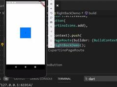 20个Flutter开发实战小案例教学