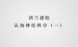 认知神经科学：探究人类思维机制的神秘面纱