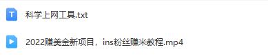 了解2022年赚美金的新项目，学习如何通过ins粉丝赚取美元！