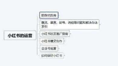 苏歆带你学习《小红书穿透式营销攻略》