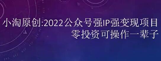 小淘2022公众号强IP强变现项目：掌握小淘推荐的公众号强IP变现方法