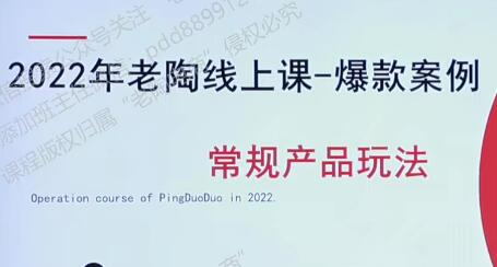 《拼多多名师线上领跑28天》的线