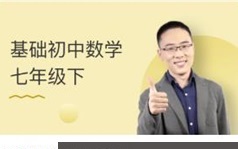 通用版七年级(初一)数学下册课本基础知识精讲教学视频(WM中学 24讲)