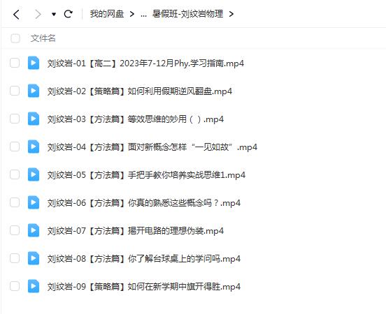 刘纹岩物理2024高二物理（上学期）暑