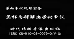 怎样内部解决劳动争议-梁智怎样内部解决劳动争议讲座下载
