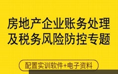 财务主管房地产企业账处理及风险防控视频培训讲座(行业财税 9讲)