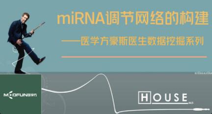 数据挖掘miRNA网络构建视频