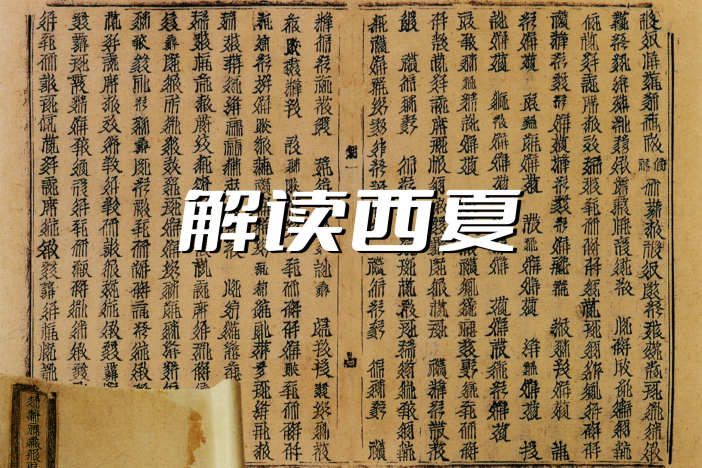 解读西夏