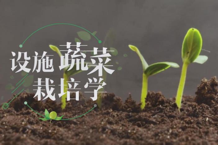 设施蔬菜栽培学