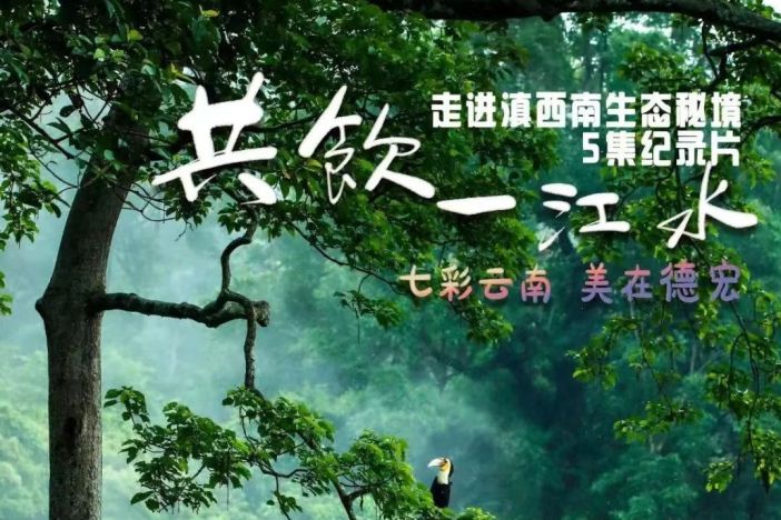 走进滇西南生态秘境