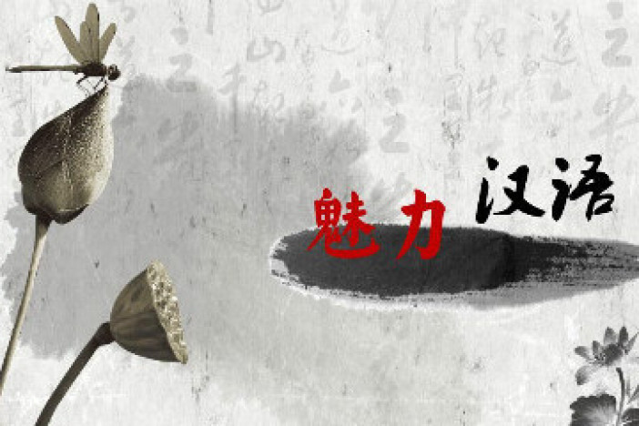 魅力汉语