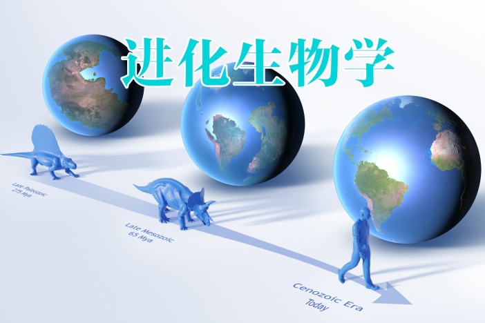 进化生物学