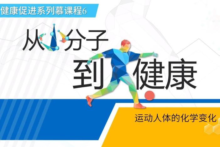 从小分子到大健康