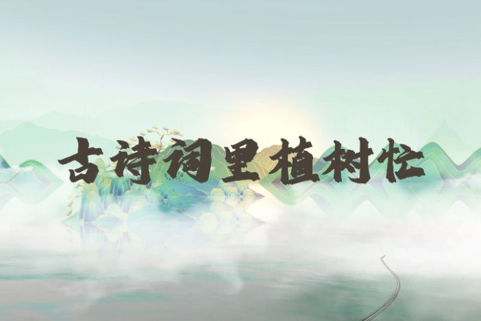 古诗词里植树忙