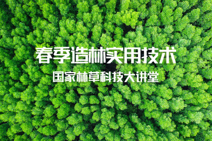 春季造林实用技术
