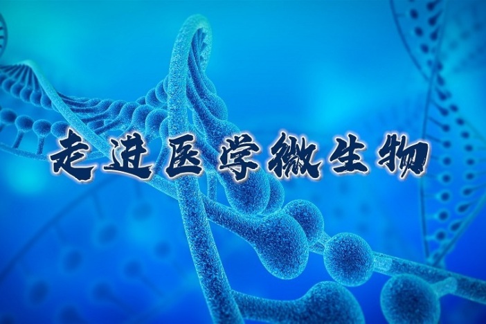 走进医学微生物