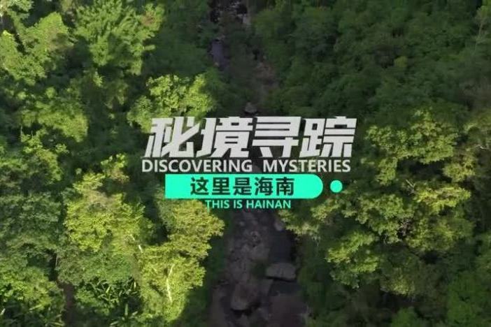 《这里是海南：秘境寻踪》第三季