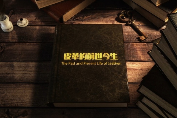皮革的前世今生