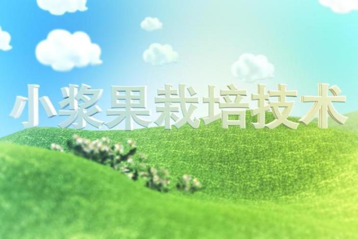 小浆果栽培技术