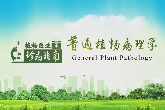 植物医生诊病指南