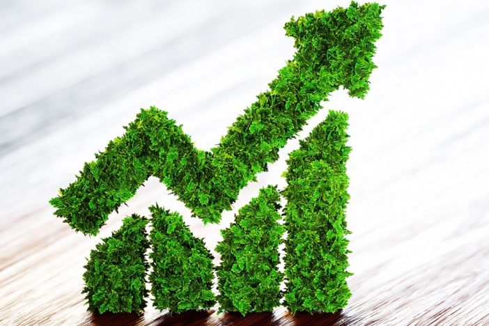 循环经济与可持续发展型企业