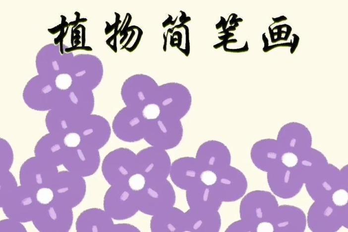 植物简笔画
