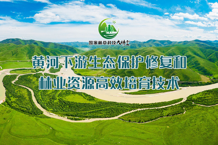 黄河下游生态保护修复和林业资源高效培育技术