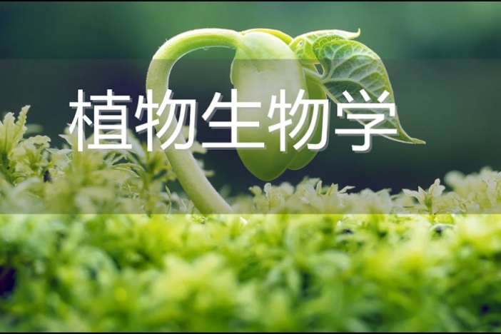 植物生物学