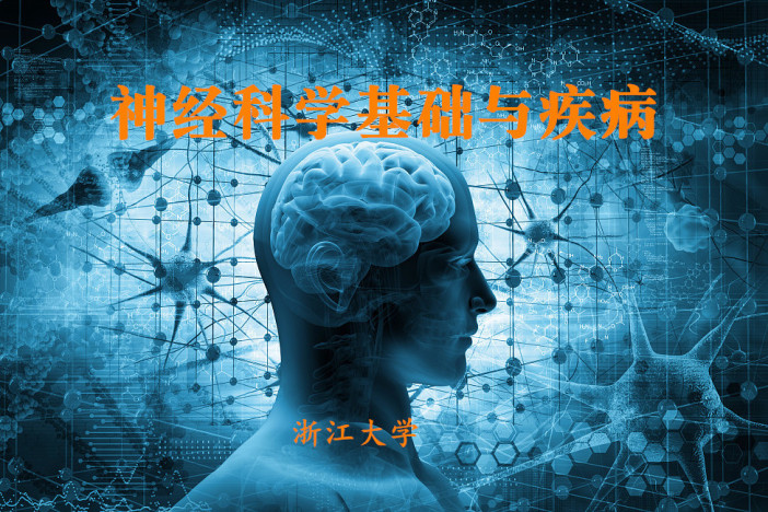 神经科学基础与疾病