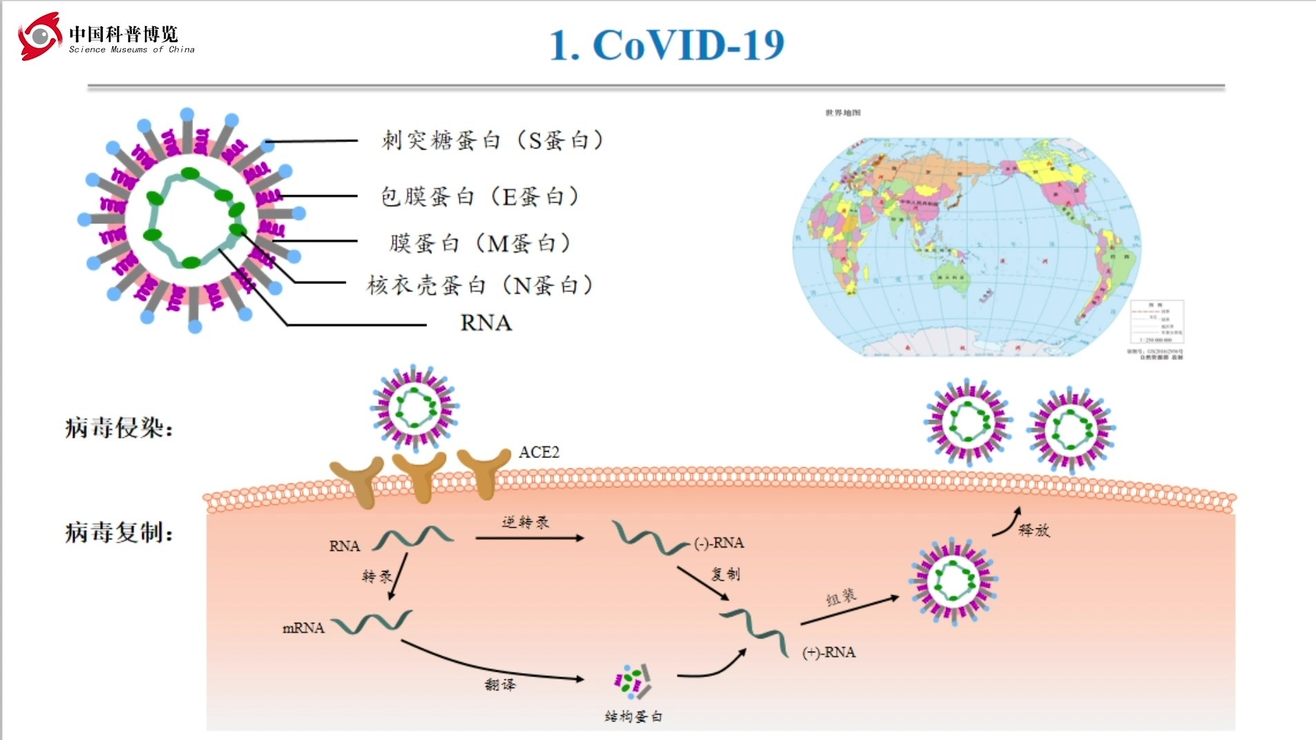 中科院·药理科学系列