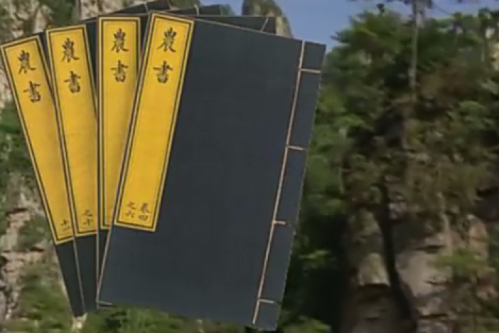 王祯《农书》与木活字印刷术