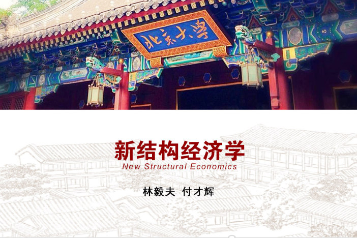 新结构经济学总纲