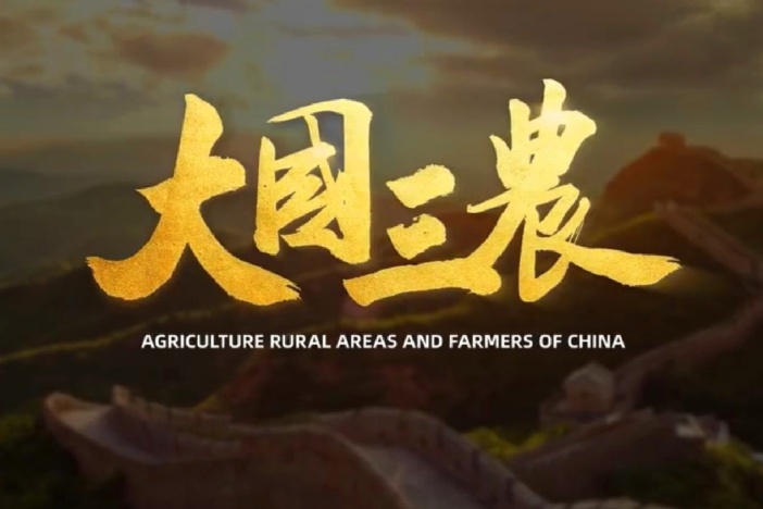 大国三农