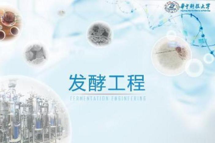 发酵工程