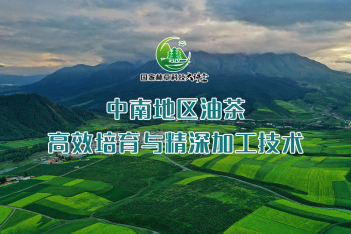 中南地区油茶高效培育与精深加工技术