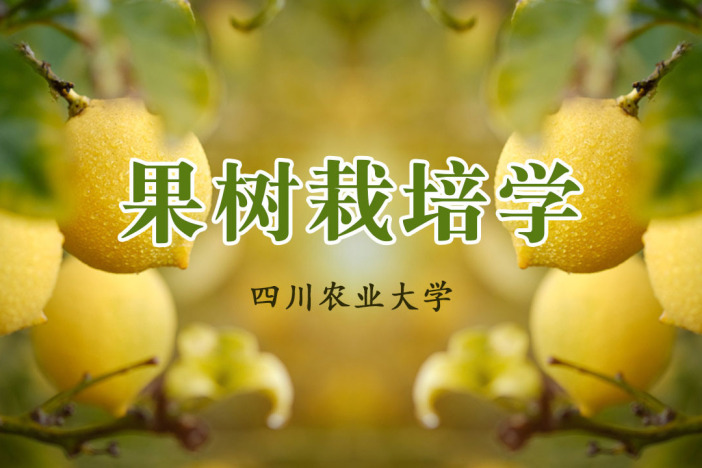 果树栽培学
