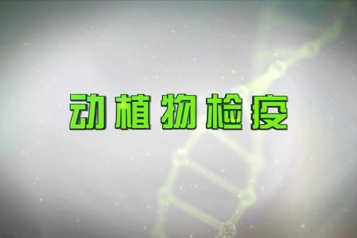 动植物检疫
