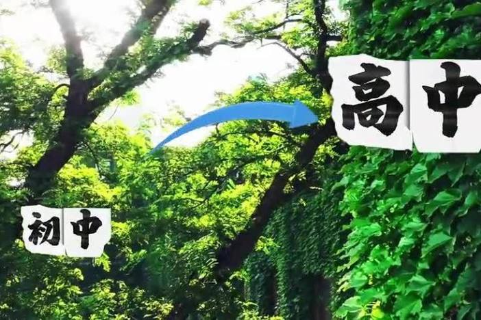 初中升高中如何科学转段