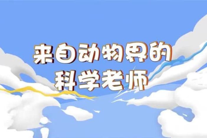 来自动物界的科学老师