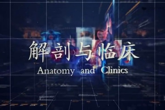 解剖与临床