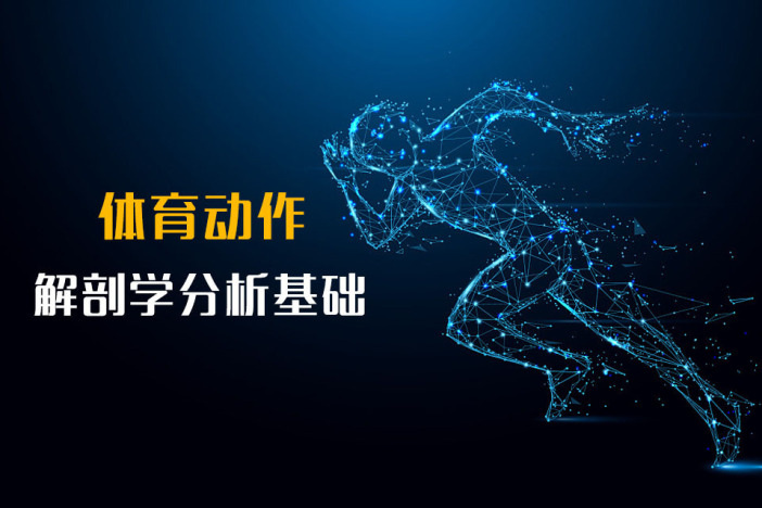 体育动作解剖学分析基础