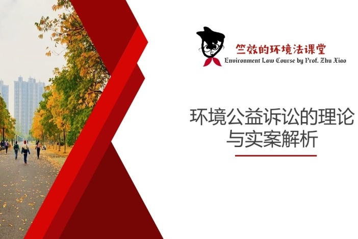 环境公益诉讼的理论与实案解析