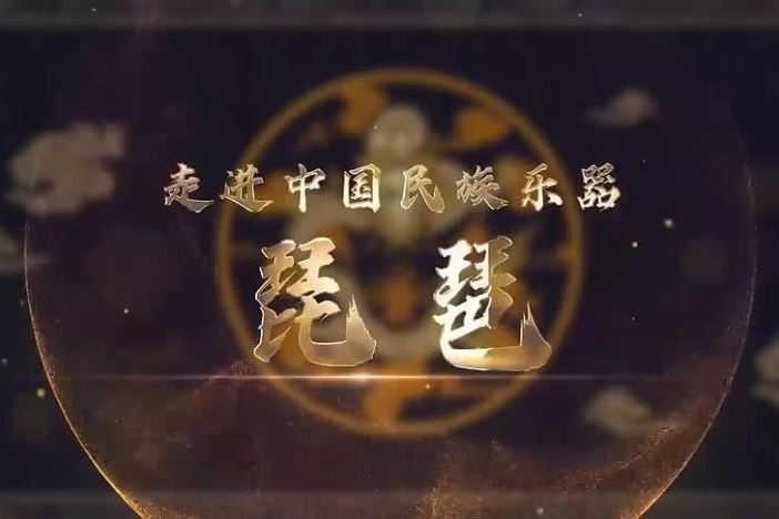 走进中国民族乐器：琵琶